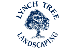Lynch Tree